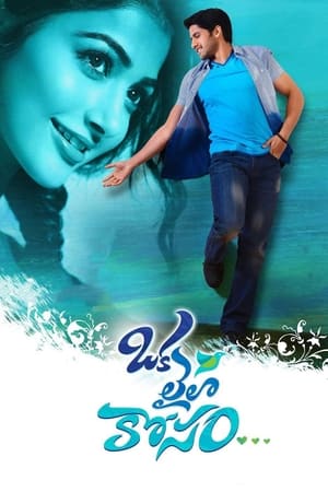 Oka Laila Kosam 2014 (Hindi – Telugu) Dual Audio 480p UnCut HDRip 500MB