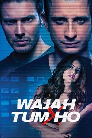 Wajah Tum Ho 2016 [PDVDRip] 700MB DDR